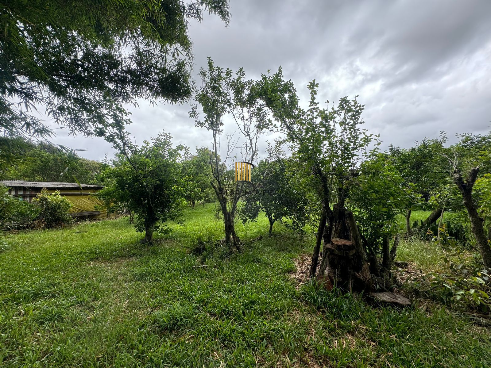 Sítio 1 dormitório no bairro Parque Florestal Itapuã