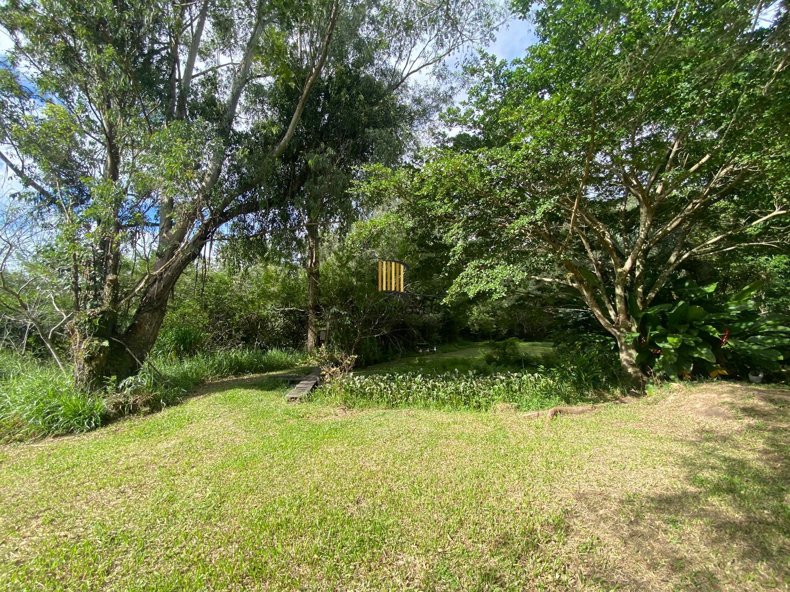 Sítio Bairro Parque Florestal (Itapuã)