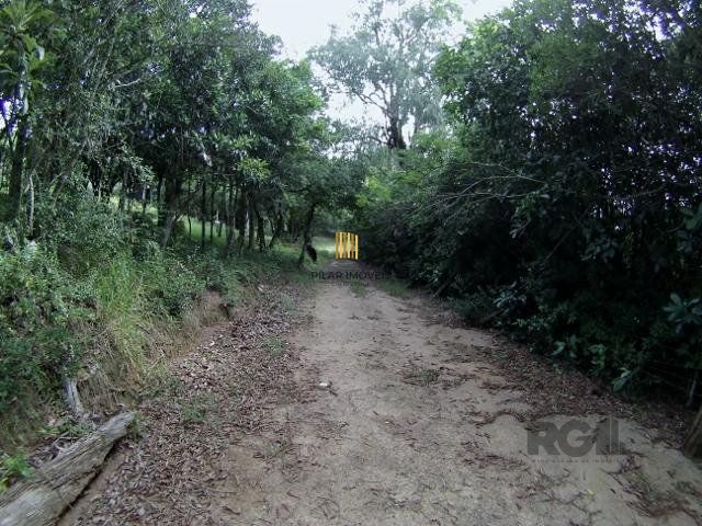 Sítio no bairro São Tomé - Pilar Imóveis