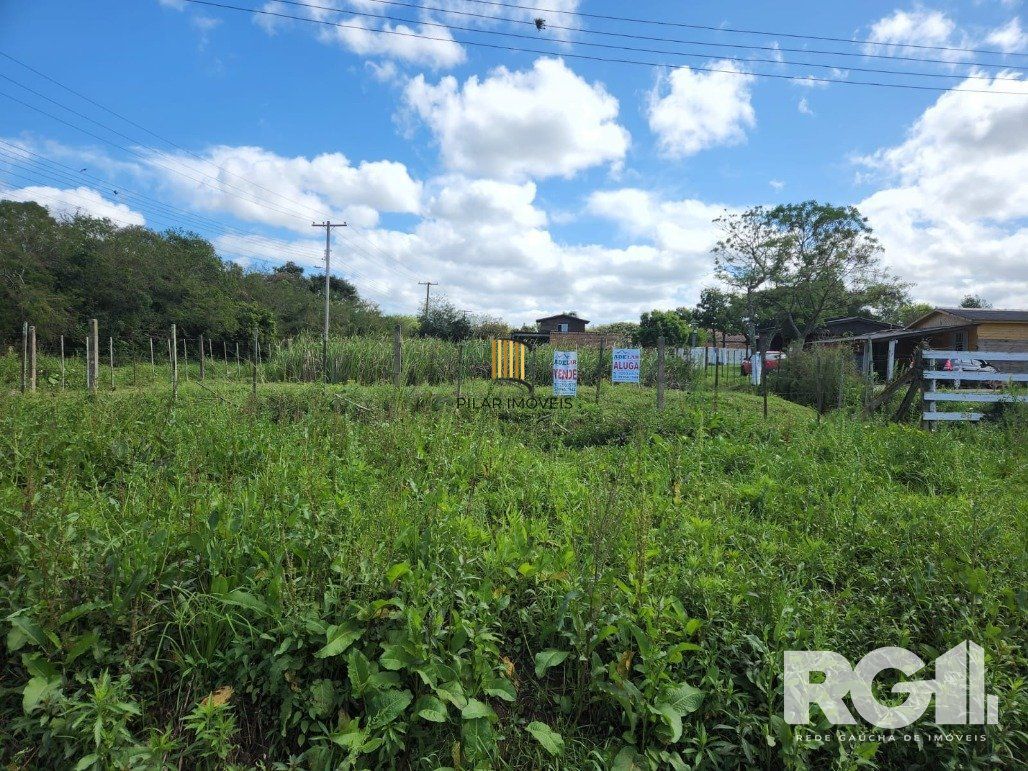 Terreno Bairro Lageado