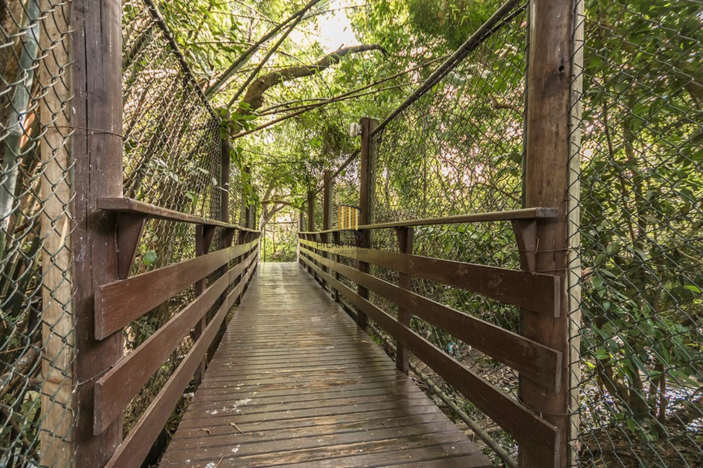 Apartamento 3 dormitórios no bairro Ipanema