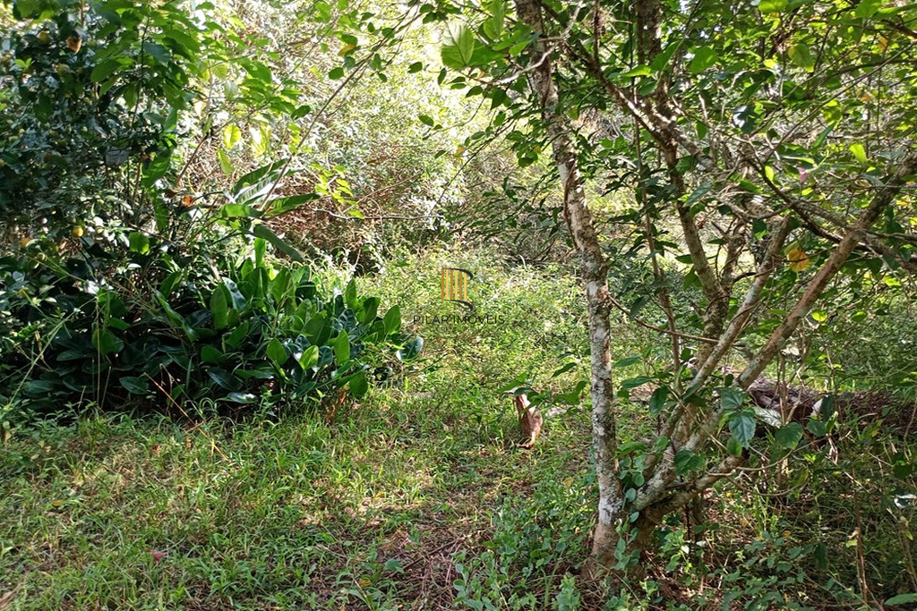 Fazenda no bairro Belém Novo