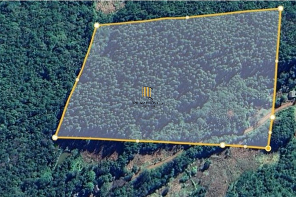 Fazenda no bairro Riozinho