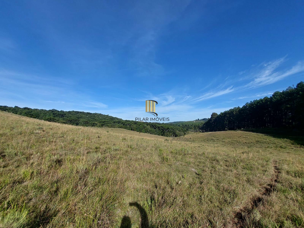 Fazenda no bairro Fazenda Souza