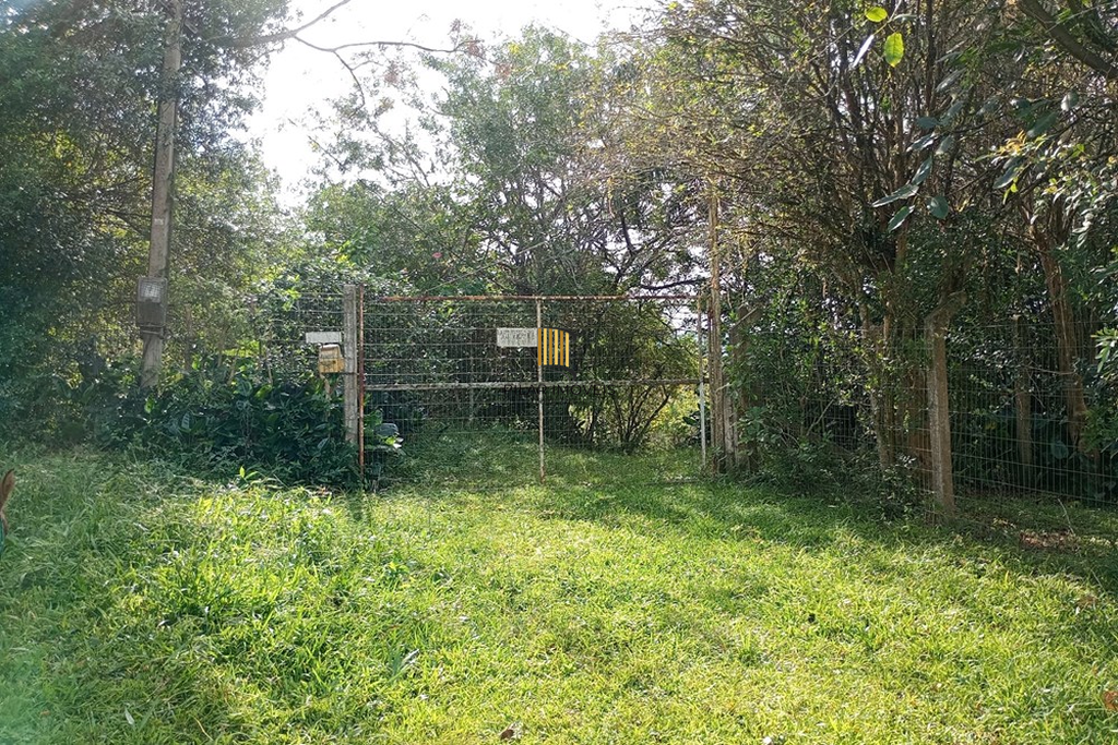 Fazenda no bairro Belém Novo