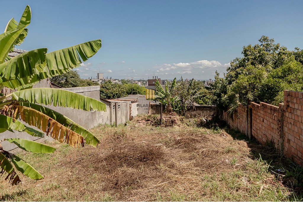 Terreno no bairro Tristeza