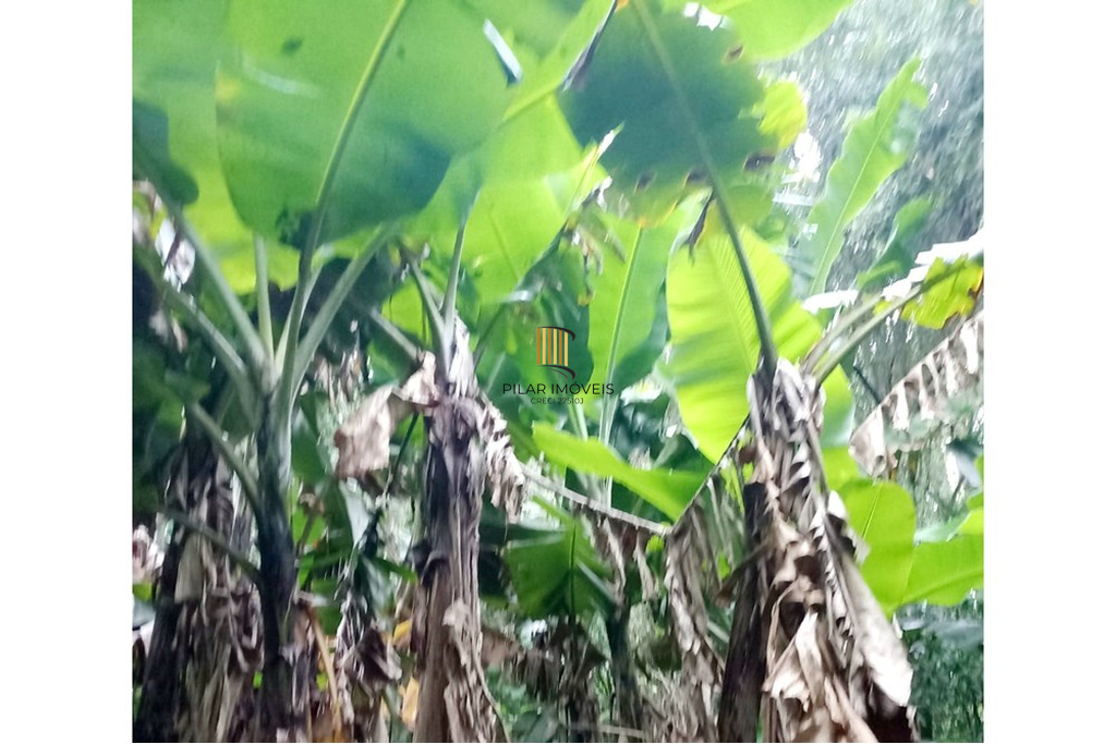 Fazenda no bairro Riozinho