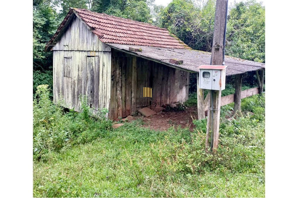 Fazenda no bairro Riozinho