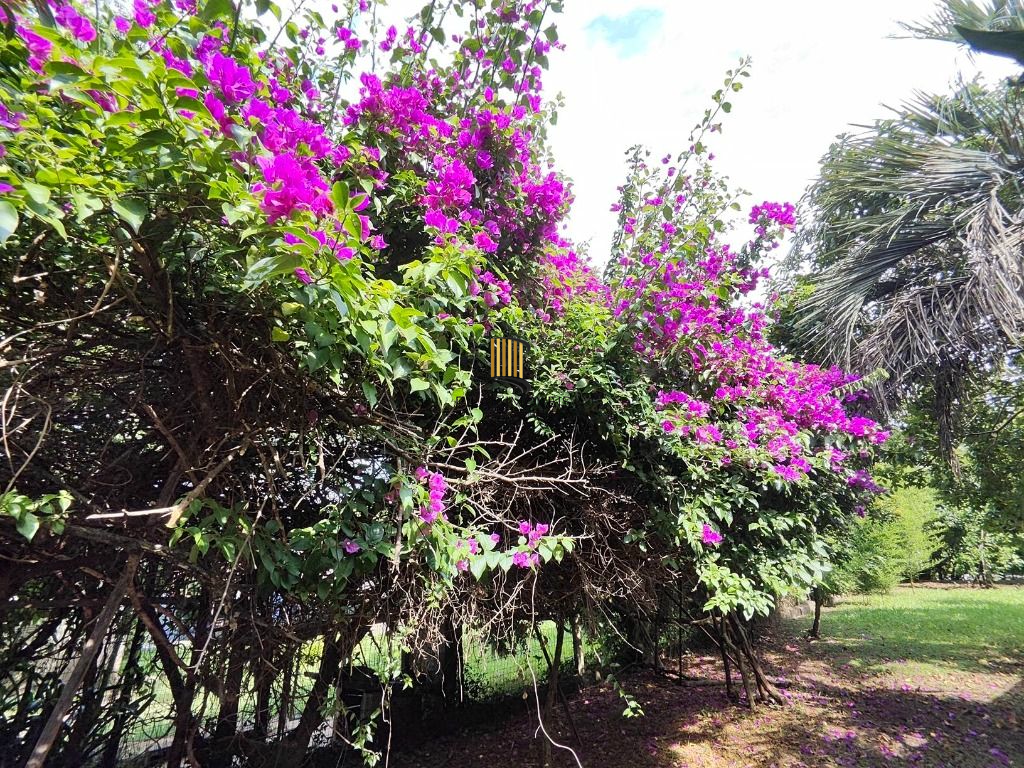 Fazenda no bairro Passo da Branquinha