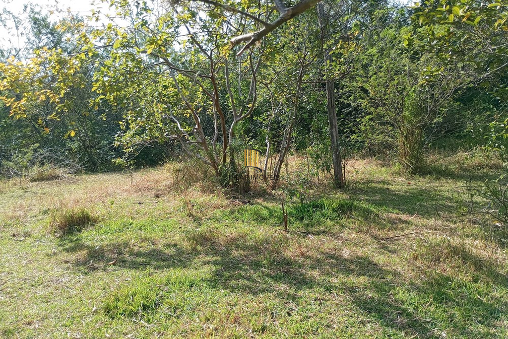 Fazenda no bairro Belém Novo