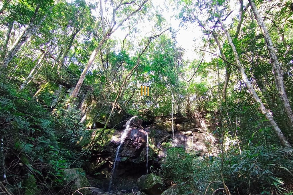 Fazenda no bairro Rolante