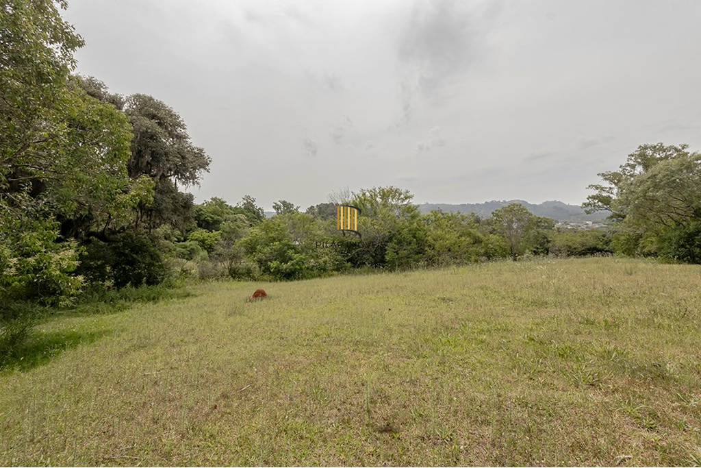 Terreno no bairro Belém Velho
