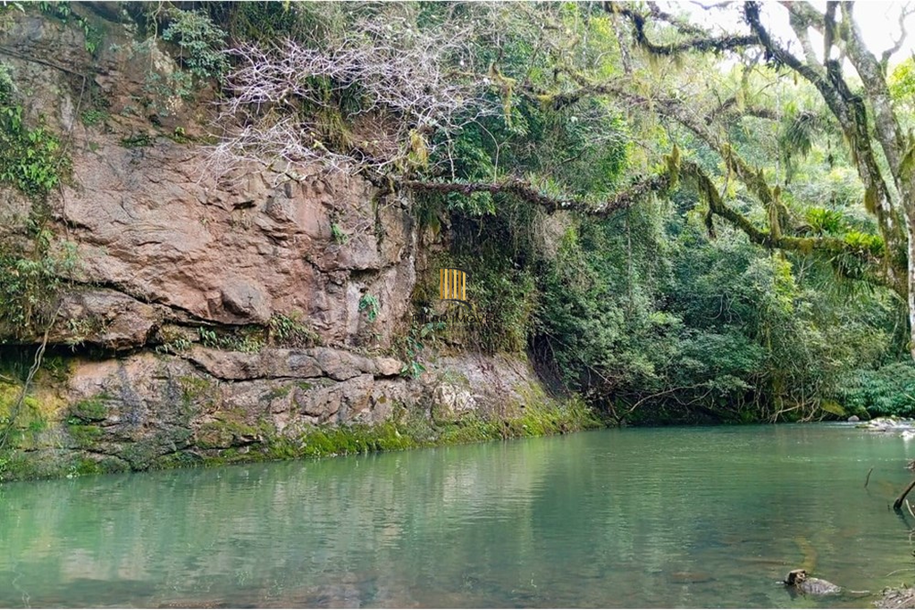 Fazenda no bairro Rolante