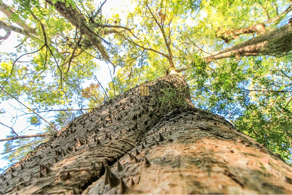 Apartamento 2 dormitórios no bairro Teresópolis