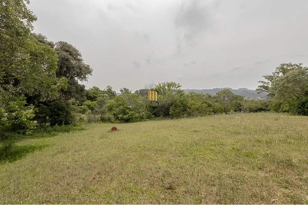 Terreno no bairro Belém Velho