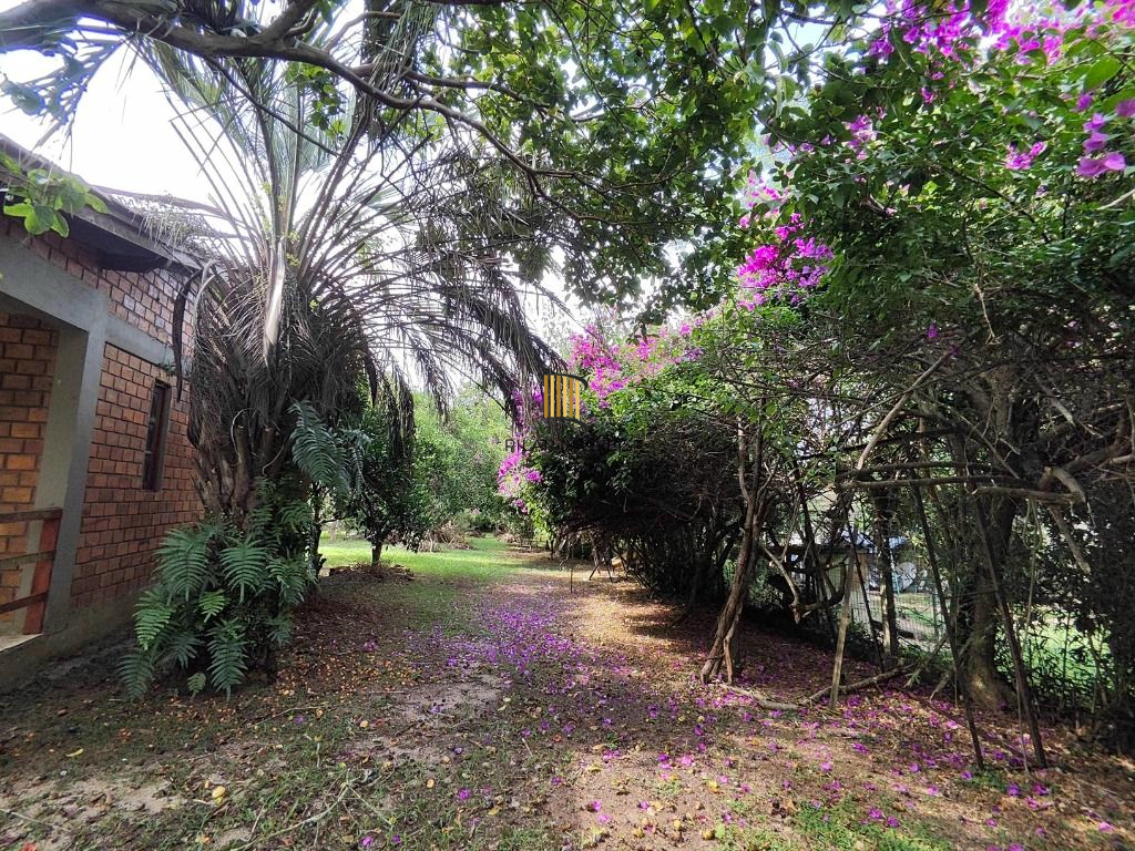 Fazenda no bairro Passo da Branquinha
