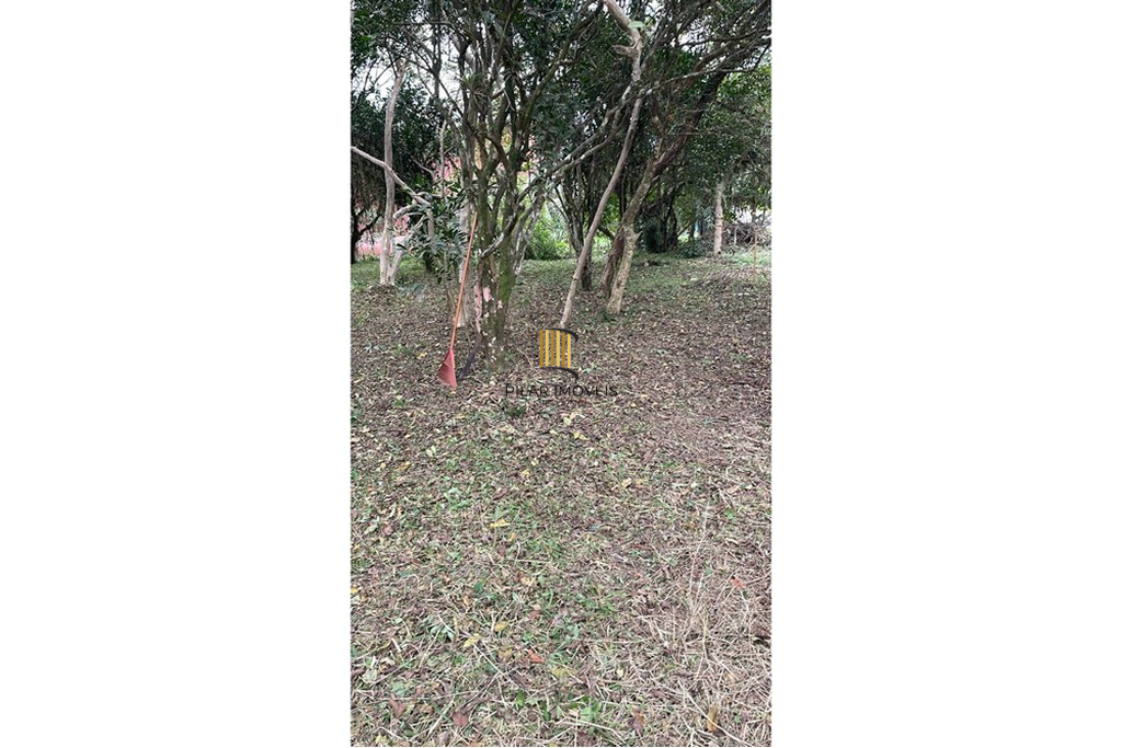 Terreno no bairro Centro