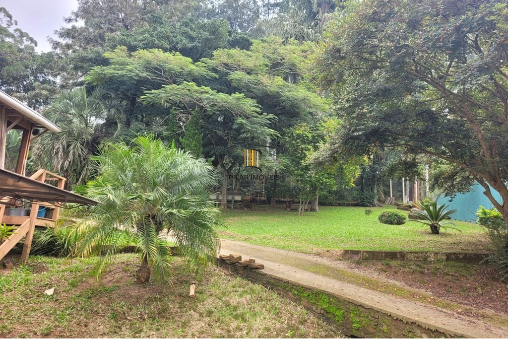 Fazenda no bairro Centro
