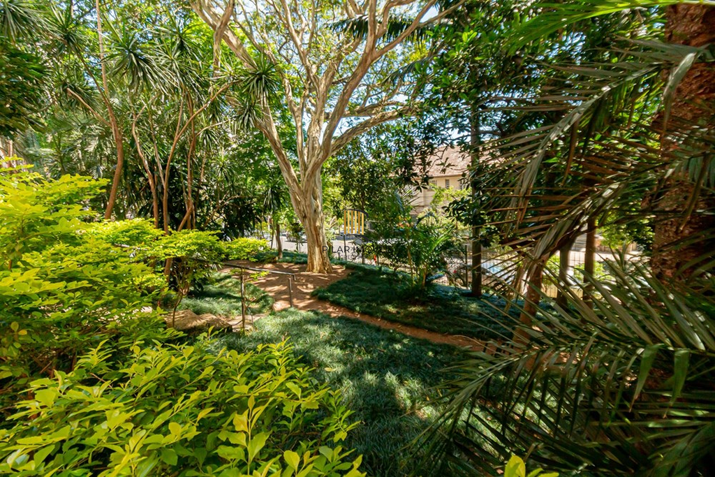 Apartamento 3 dormitórios no bairro Rio Branco