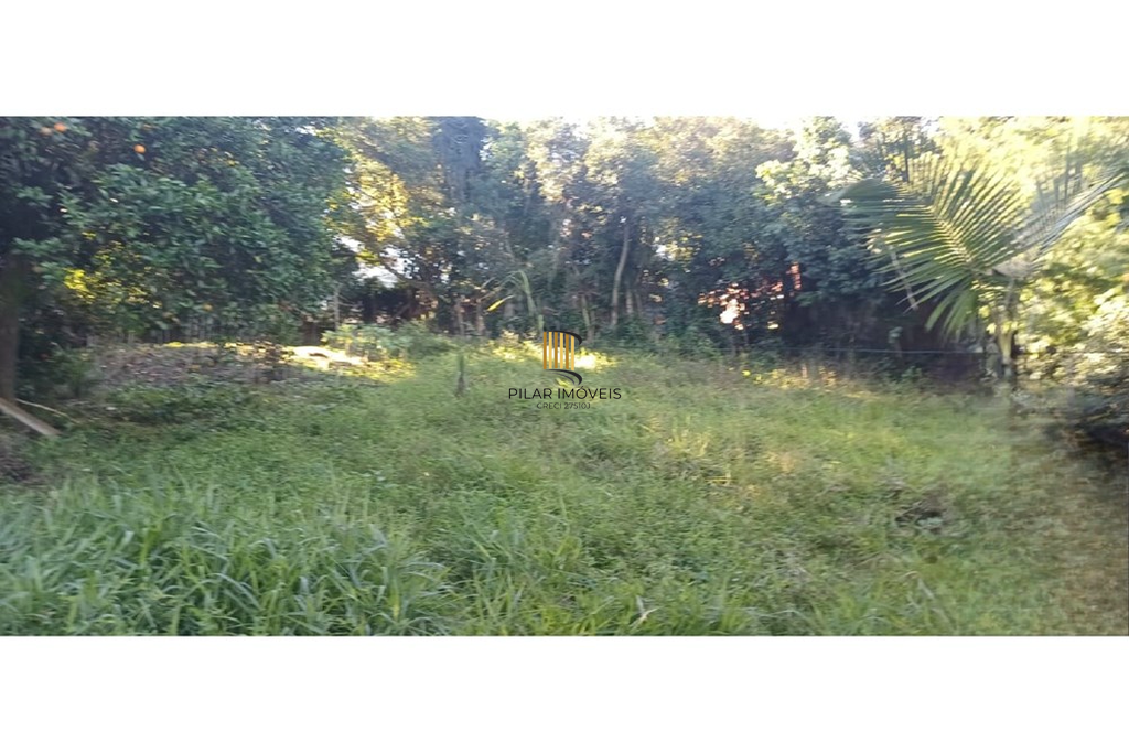 Fazenda no bairro Aparecida