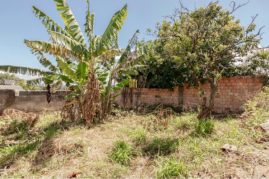 Terreno no bairro Tristeza