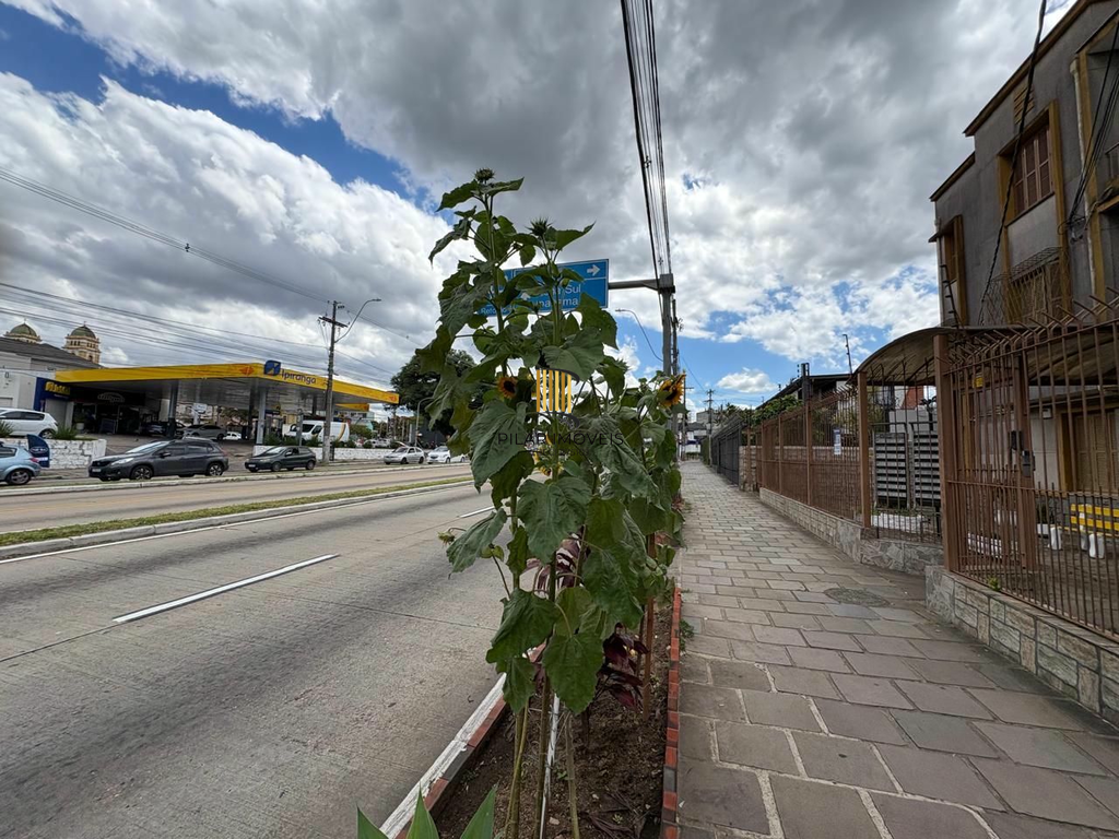 Apartamento 3 dormitórios no bairro Glória