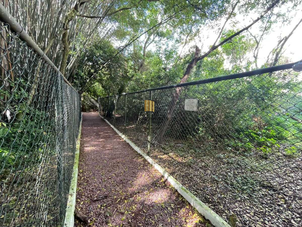 Apartamento 3 dormitórios no bairro Ipanema