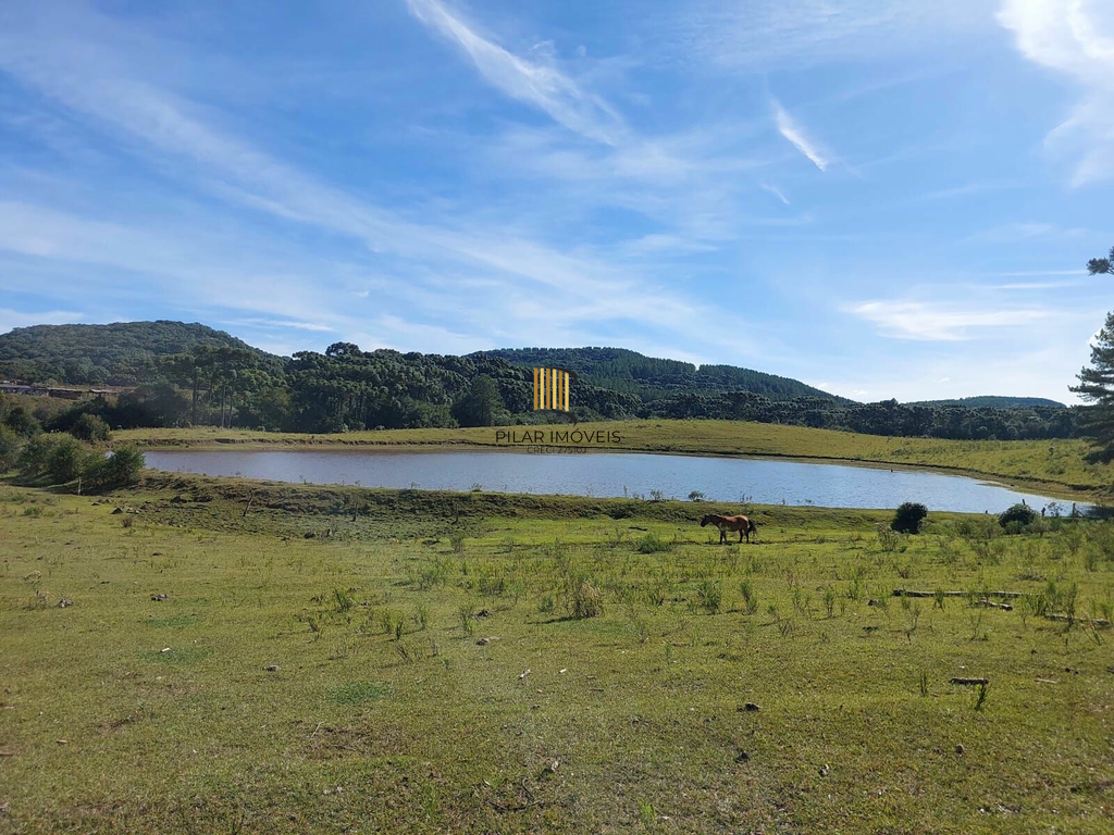 Fazenda no bairro Fazenda Souza