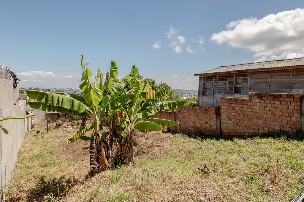 Terreno no bairro Tristeza