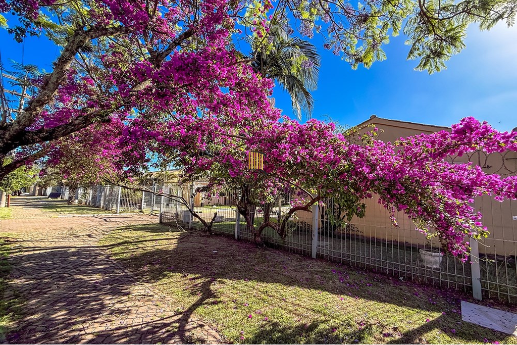 Casa de Condomínio 3 dormitórios no bairro Rio Branco