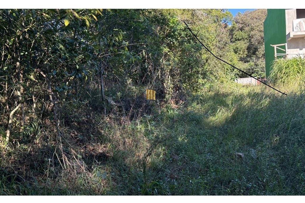 Terreno no bairro Tristeza