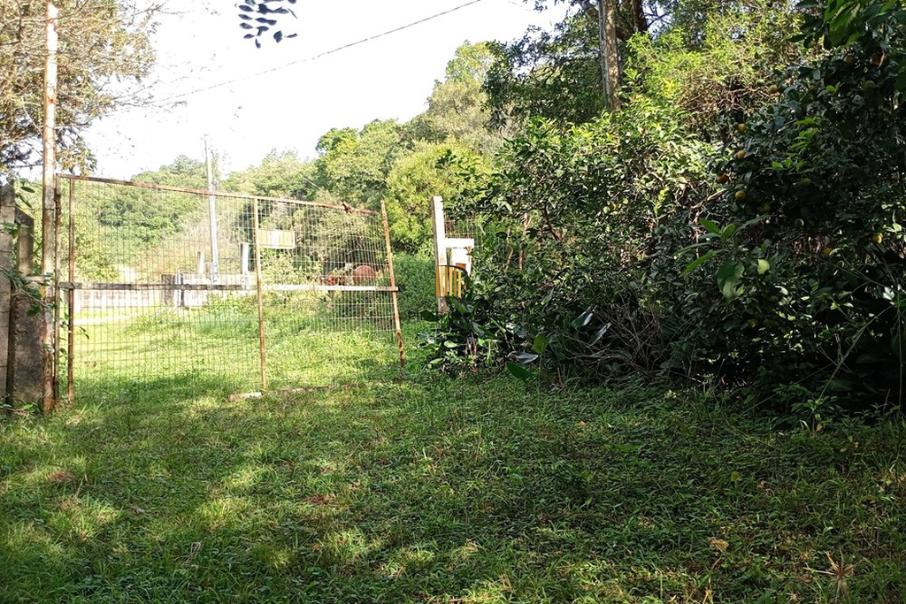 Fazenda no bairro Belém Novo