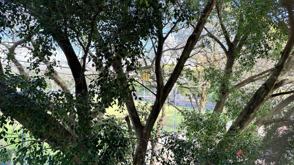 Apartamento 2 dormitórios no bairro Petrópolis