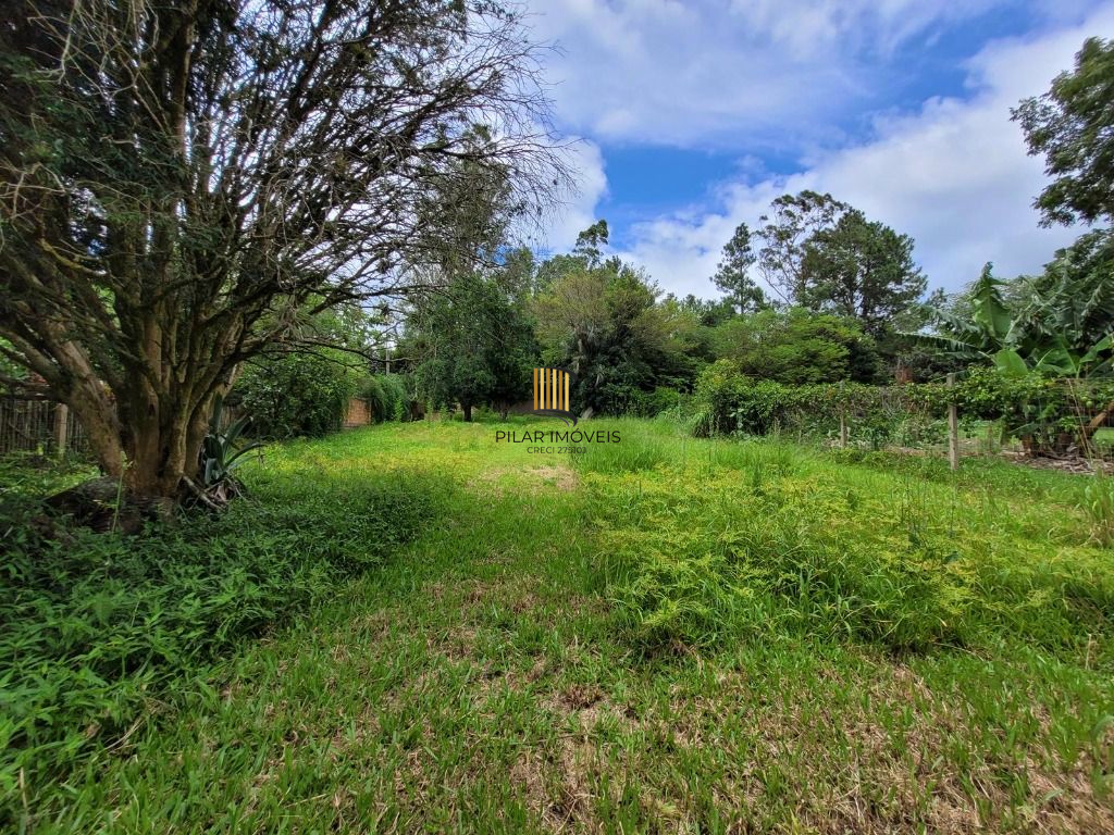 Fazenda no bairro Branquinha
