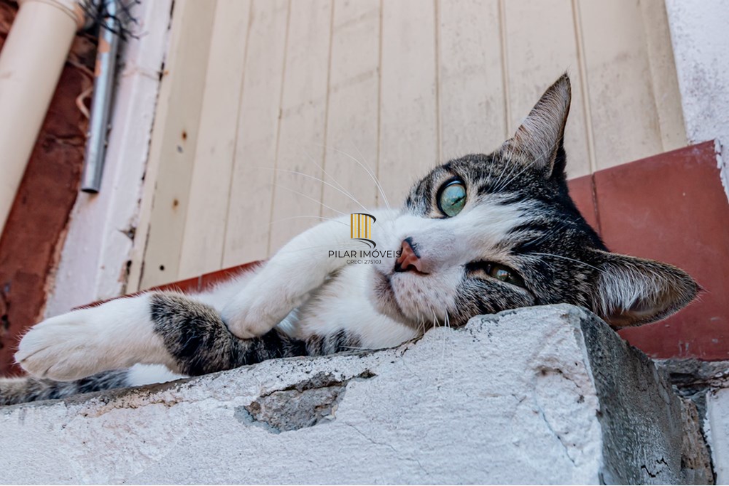 Casa 3 dormitórios no bairro Petrópolis