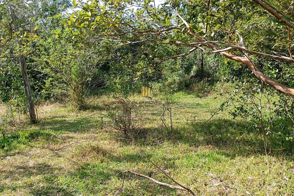 Fazenda no bairro Belém Novo
