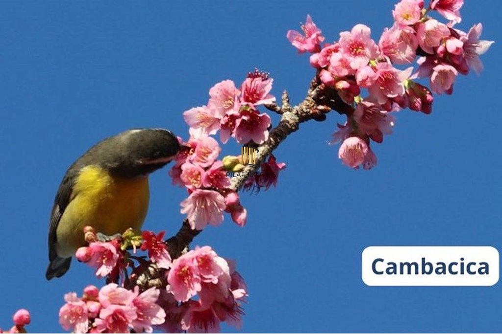 Terreno no bairro São Lucas