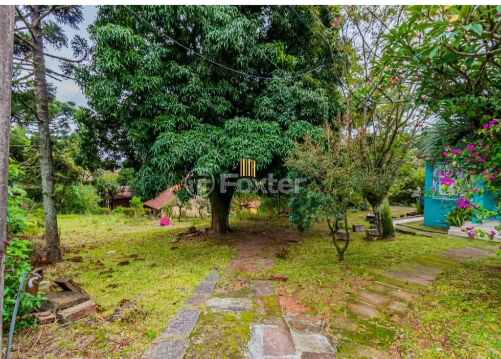 Terreno no bairro Nonoai