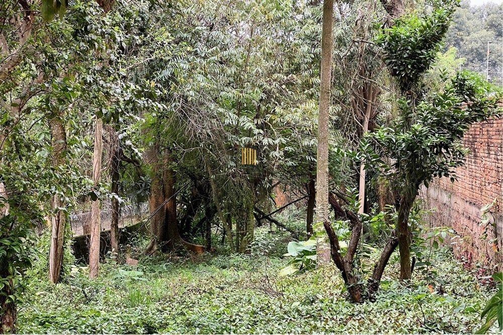 Terreno no bairro Nossa Senhora das Graças