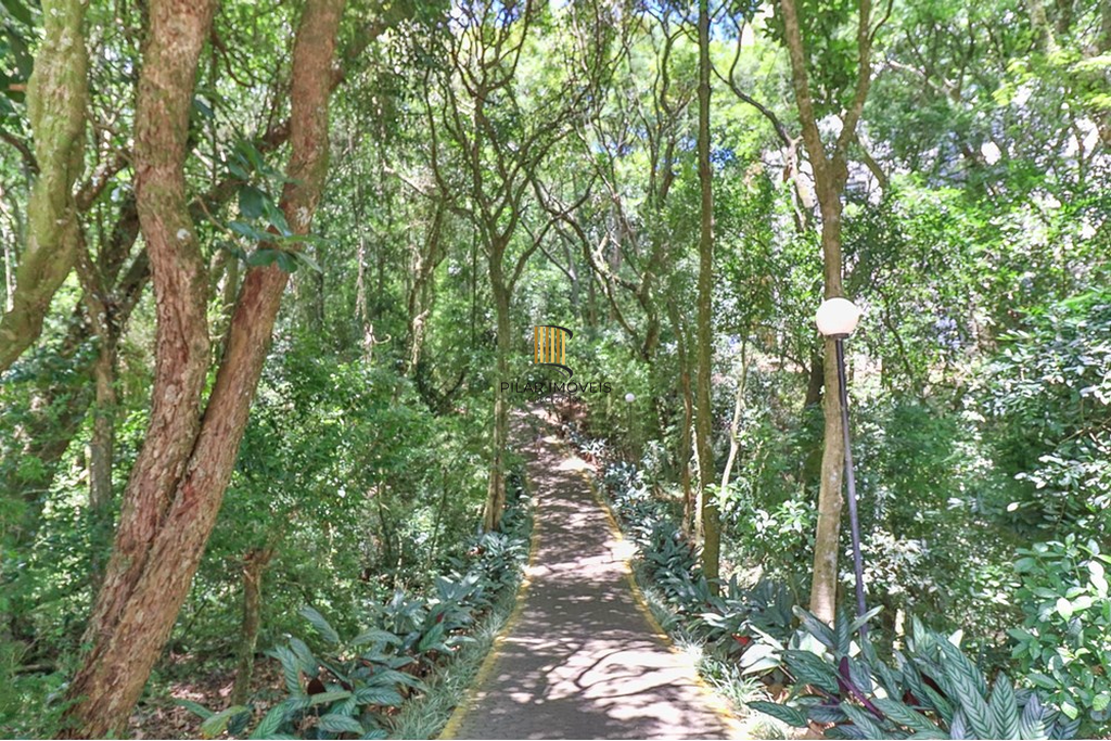 Apartamento 3 dormitórios no bairro Nonoai