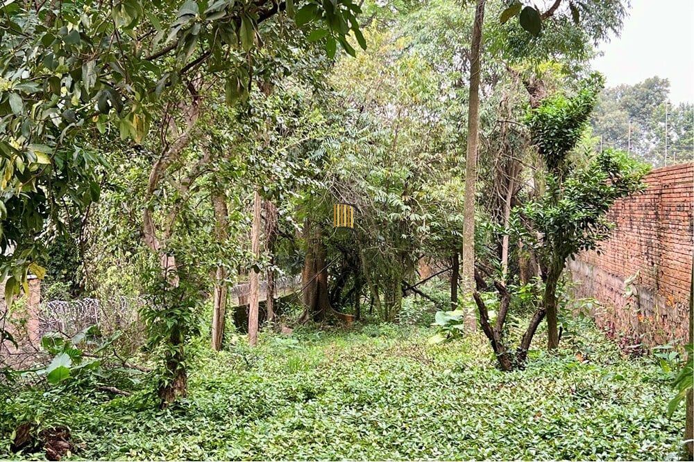 Terreno no bairro Nossa Senhora das Graças