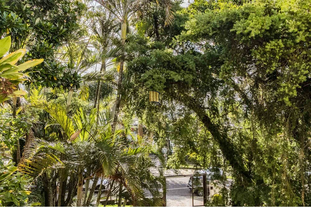 Apartamento 3 dormitórios no bairro Menino Deus