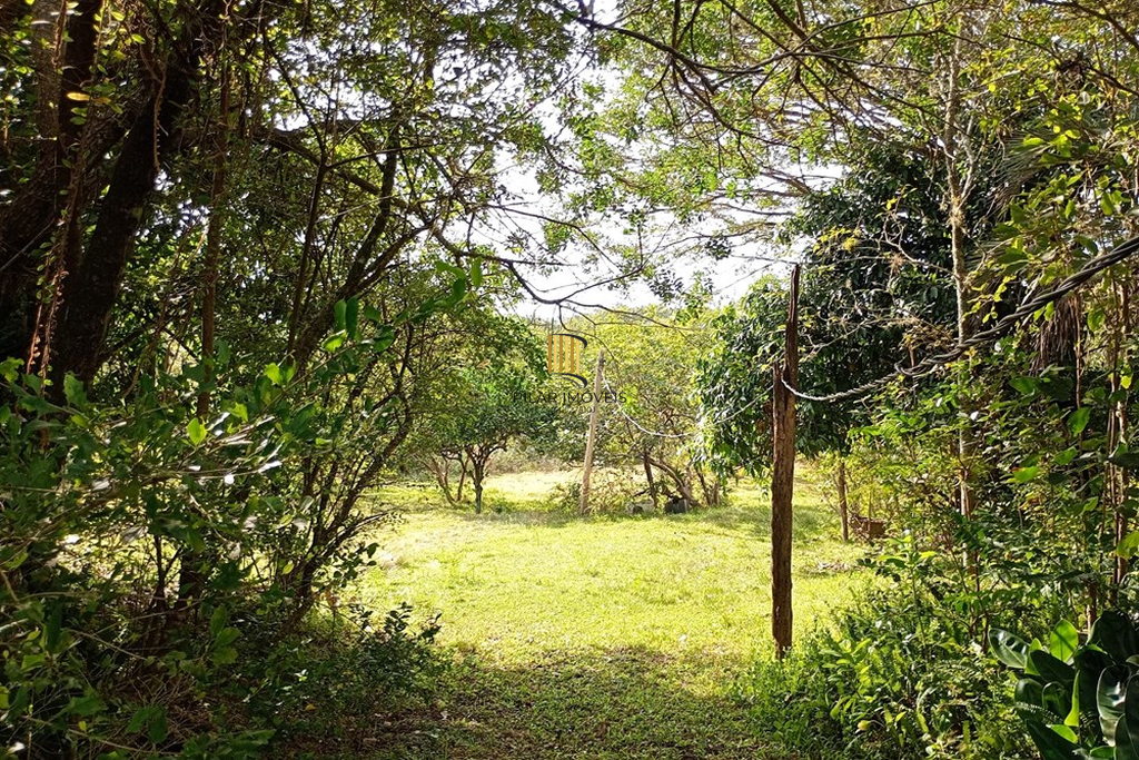 Fazenda no bairro Belém Novo