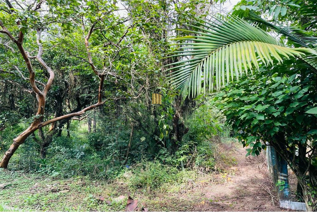 Terreno no bairro Centro