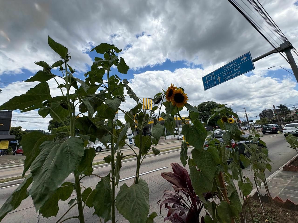 Apartamento 3 dormitórios no bairro Glória