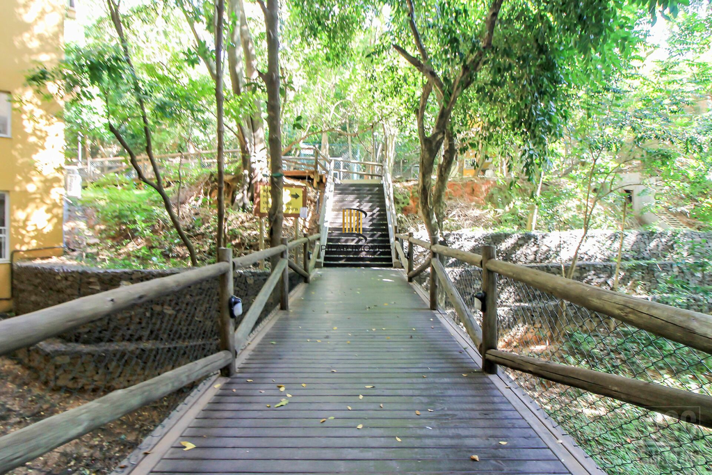 Apartamento 3 dormitórios no bairro Partenon