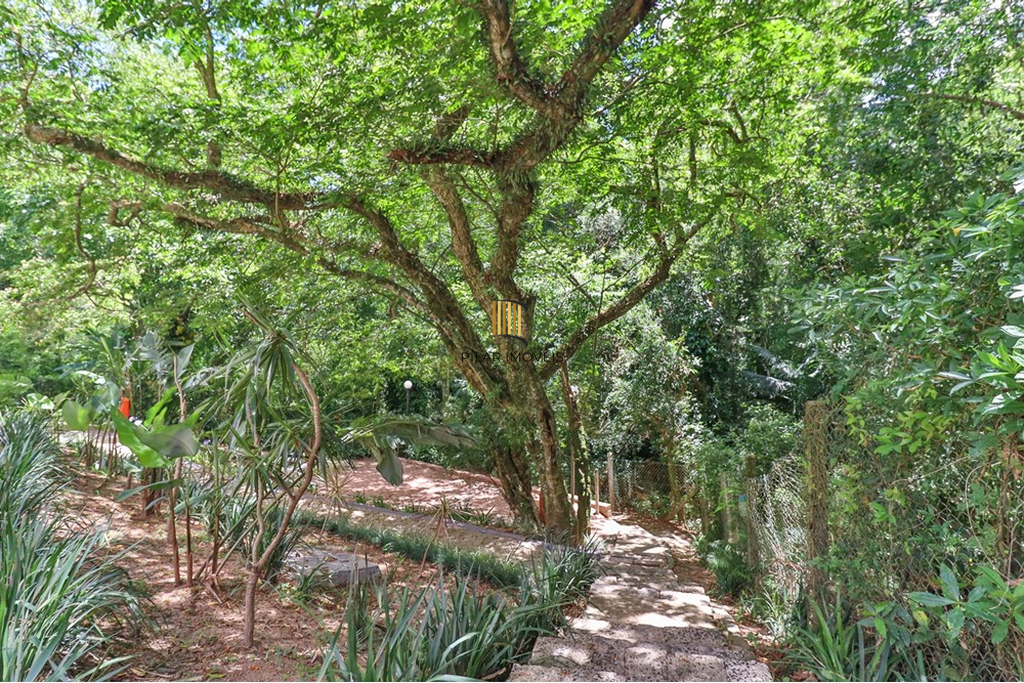 Apartamento 3 dormitórios no bairro Nonoai