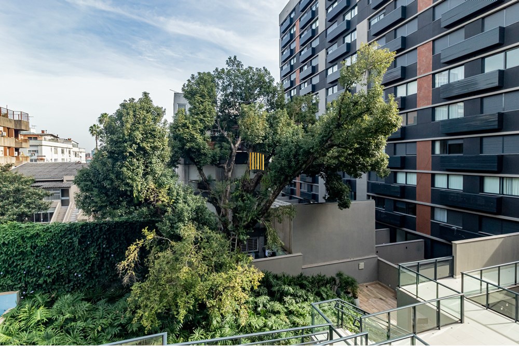 Apartamento 3 dormitórios no bairro Mont Serrat