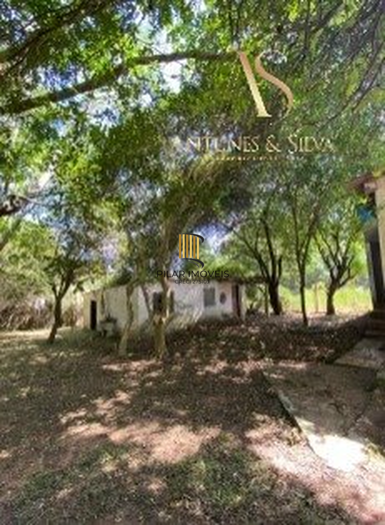 Fazenda no bairro Águas Claras