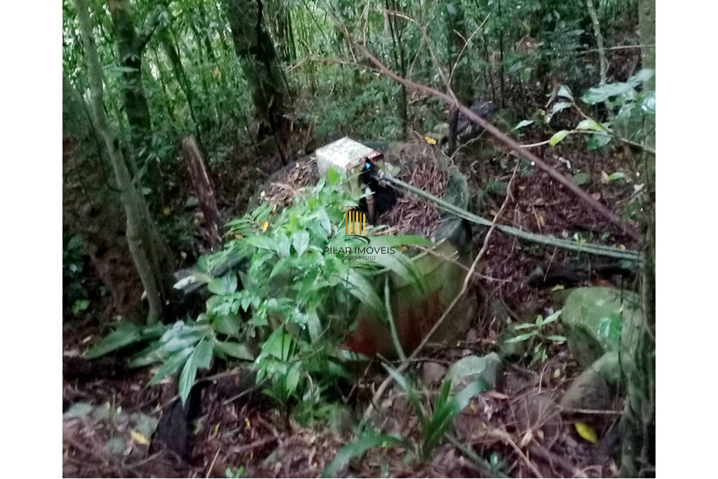 Fazenda no bairro Riozinho